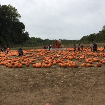 Demarest Farm - Pumpkin patch - Farmers Market Near Me - Hillsdale, New Jersey