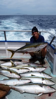 Davey's Locker Whale Watching & Sportfishing by null