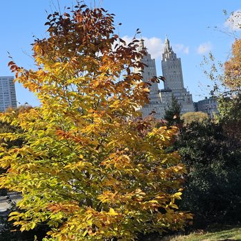 Central Park - Parks Near Me - New York, New York Central Park - Parks Near Me - New York, New York