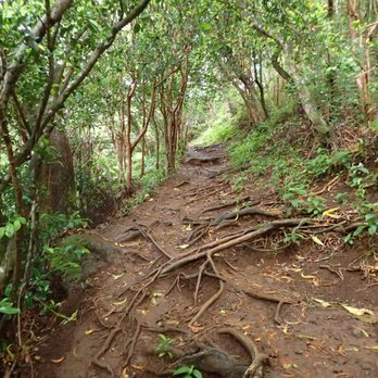 Pu'u Pia Trail - Hiking Near Me - Honolulu, Hawaii