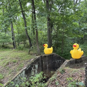 Allaire State Park - Decor - Parks Near Me - Farmingdale, New Jersey