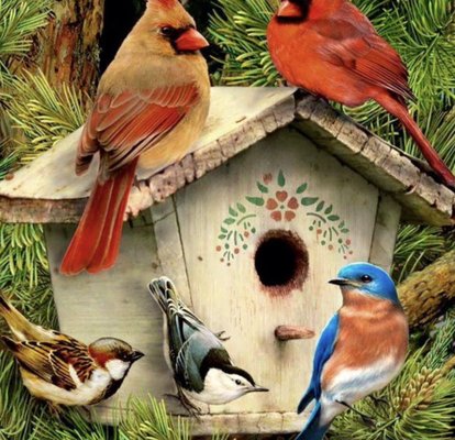 Baths and Houses - Shop our wide variety of houses and baths for your feathered friends. Baths and Houses - Shop our wide variety of houses and baths for your feathered friends.