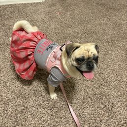 Fall 2025, Stella in her new outfit :)