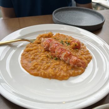 Gordon Ramsay Hell's Kitchen - Lobster risotto - Desserts Near Me - Washington, DC, District of Columbia