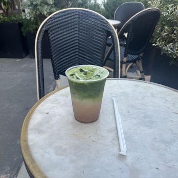 PlantShed - Iced oat ginger mat chai on a sunny summer afternoon in Nolita! Am I in heaven? - Florists Near Me - New York, New York PlantShed - Iced oat ginger mat chai on a sunny summer afternoon in Nolita! Am I in heaven? - Florists Near Me - New York, New York