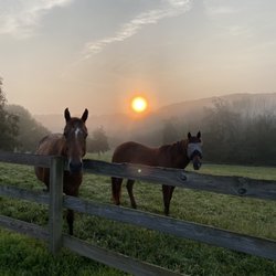 Circle G Ranch NY