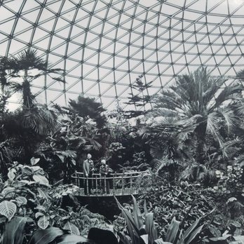 Bloedel Conservatory - Botanical Gardens Near Me - Vancouver, British Columbia