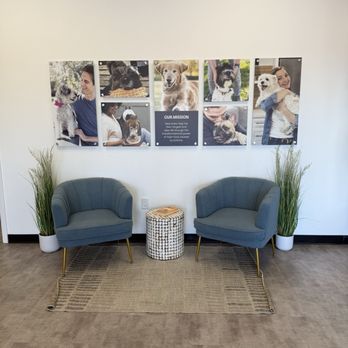 Just Food for Dogs - Inside Food For Dogs Pantry. Pet friends are welcome!!! - Pet Stores Near Me - Encinitas, California Just Food for Dogs - Inside Food For Dogs Pantry. Pet friends are welcome!!! - Pet Stores Near Me - Encinitas, California