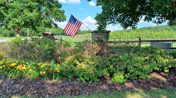 Arrington Vineyards by null