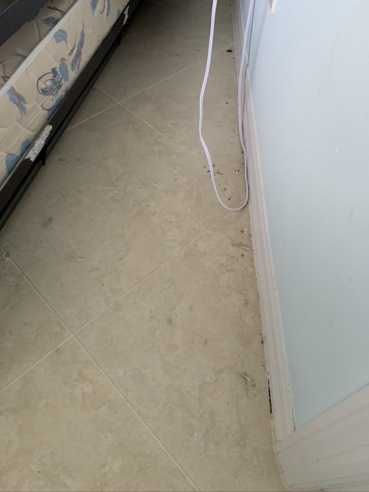 COMPLETE CLEANING SERVICE OF IRC Updated July 2024 593 27th Ave SW