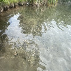 Hidden Lake Campground and Resort - Clear water in the lake