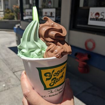 Yogurt Park - Small chocolate and pistachio creme - Ice Cream & Frozen Yogurt Near Me - Berkeley, California Yogurt Park - Small chocolate and pistachio creme - Ice Cream & Frozen Yogurt Near Me - Berkeley, California