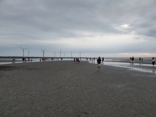 Gaomei Wetlands by null