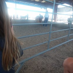 Elbert County Fair