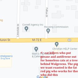 Mark's Pig Roasting - cat killer's HQ