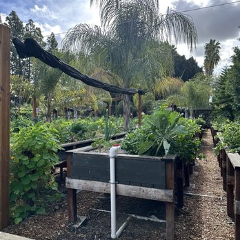 Riverbed Farm - Farmers Market Near Me - Anaheim, California Riverbed Farm - Farmers Market Near Me - Anaheim, California