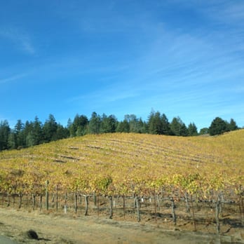 Raymond Burr Vineyards - View driving up to the tasting room - Wine Tasting Room Near Me - Healdsburg, California
