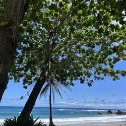 The Magic of Maui Experience - Beach