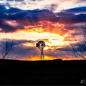 Niobrara Valley Vineyards - Wine Tasting Room Near Me - Nenzel, Nebraska