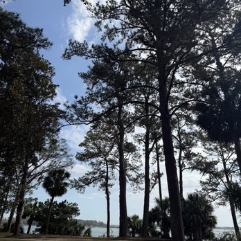 Buffalos - View - American Near Me - Bluffton, South Carolina
