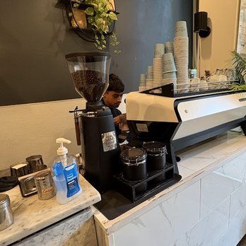 Zibetto Espresso Bar - Coffee & Tea Near Me - New York, New York Zibetto Espresso Bar - Coffee & Tea Near Me - New York, New York