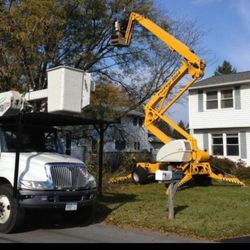 The Tree Trimmer - Experience, Customer Satisfaction, Dedication, and Pride makes us who we are. Thank you from The Tree Trimmer for another great year