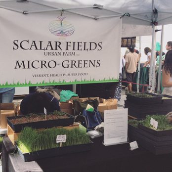Pinecrest Garden - Farmers Market - Farmers Market Near Me - Miami, Florida Pinecrest Garden - Farmers Market - Farmers Market Near Me - Miami, Florida