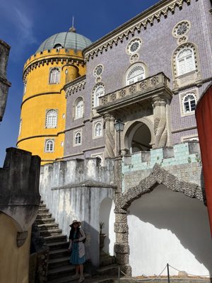 Parque Natural de Sintra-Cascais by null