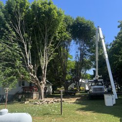 Triad Tree Guys - Equipment and service on tree