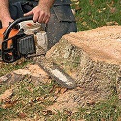 Chris's Tree Service