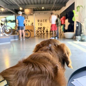 Canyon - Carlsbad - Canyon Showroom - Bikes Near Me - Carlsbad, California