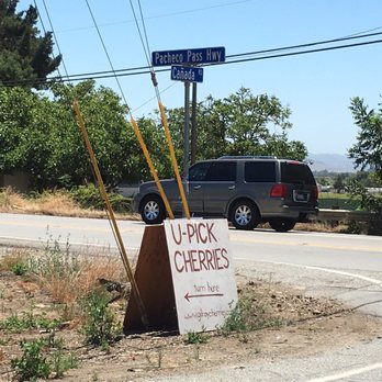 Lazy K Ranch Cherry U-Pick - Pick Your Own Farms Near Me - Gilroy, California