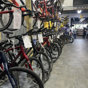 Bicycles Etc - Bike Rentals Near Me - Jacksonville, Florida Bicycles Etc - Bike Rentals Near Me - Jacksonville, Florida