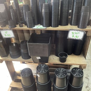 Sea of Green - Hydroponic netted pots - Hydroponics Near Me - Tempe, Arizona Sea of Green - Hydroponic netted pots - Hydroponics Near Me - Tempe, Arizona