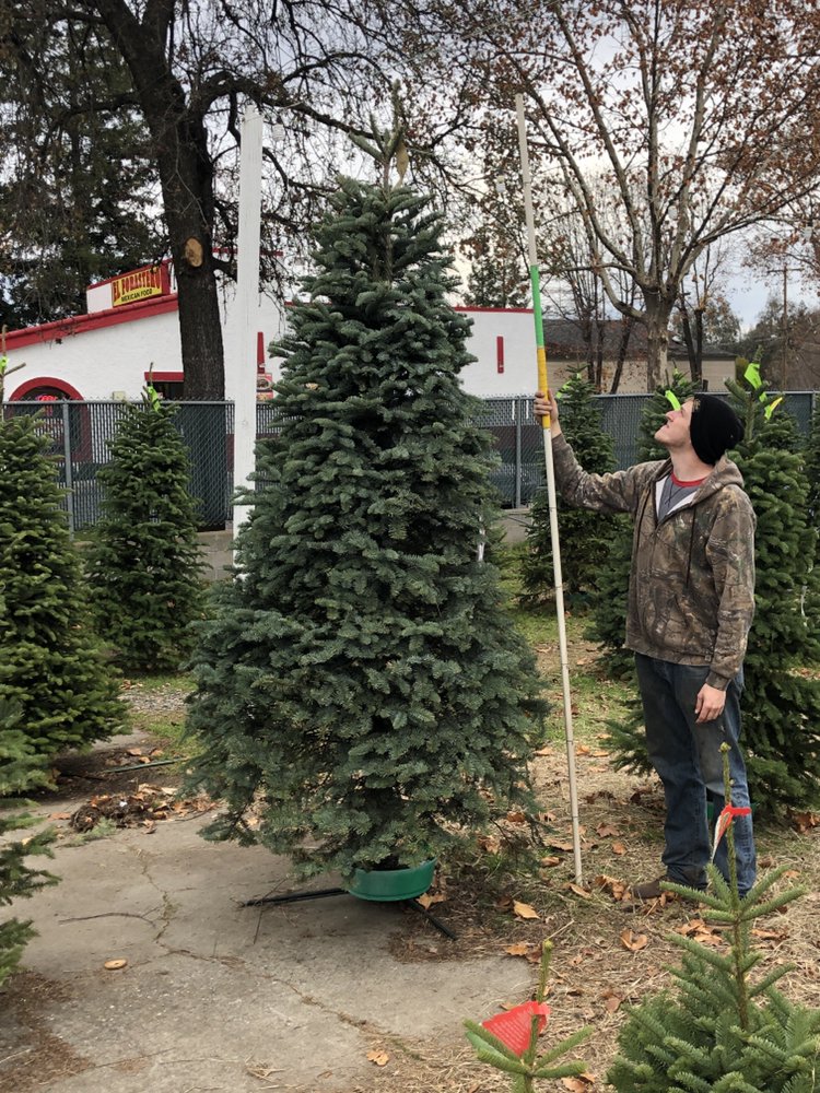 TIP TOP TREES 5112 Fair Oaks Blvd, Carmichael, CA Yelp