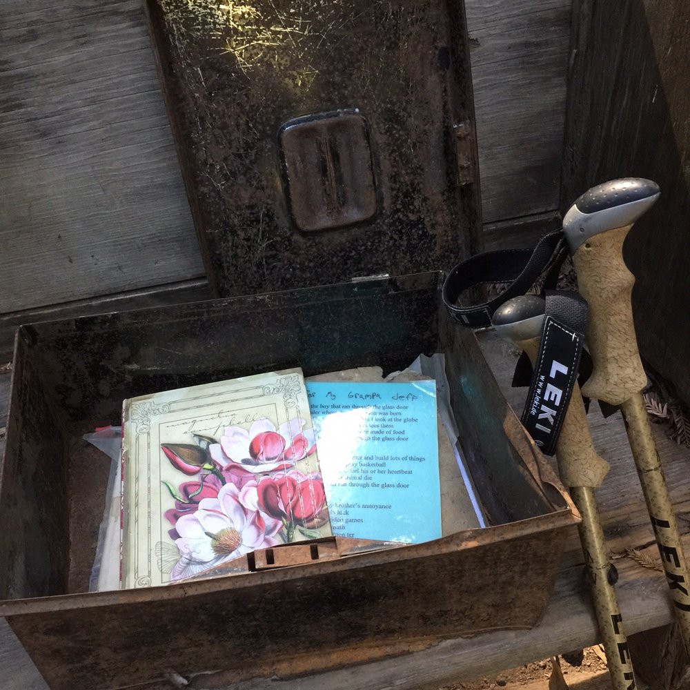 Byrne-Milliron Forest - Metal box under the pew at Cathedral Rest Stop. - Hiking Near Me - Corralitos, California Byrne-Milliron Forest - Metal box under the pew at Cathedral Rest Stop. - Hiking Near Me - Corralitos, California