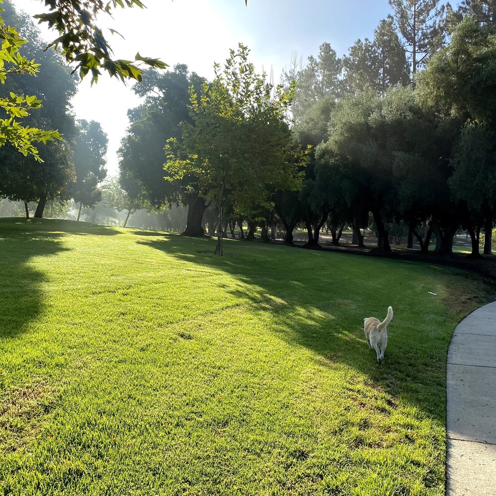 Veterans Memorial Park - Veteran's Park - Parks Near Me - Sylmar, California Veterans Memorial Park - Veteran's Park - Parks Near Me - Sylmar, California