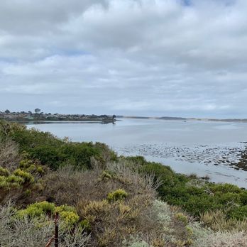 Los Osos Elfin Forest - outlook along trail - Parks Near Me