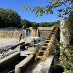 Boyden Wildlife Refuge - Fish ladder at Three Mile River dam