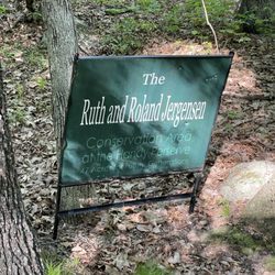 Handy Pond Preserve