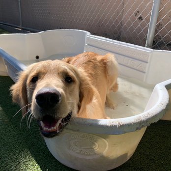 Doggie District - Silverado - Pet Groomers Near Me - Las Vegas, Nevada Doggie District - Silverado - Pet Groomers Near Me - Las Vegas, Nevada