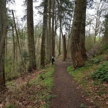 Skinner's Butte - A trail near the top, starting from the lookout parking lot - Parks Near Me - Eugene, Oregon