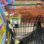 Photo of Dollar Tree