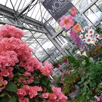 Truffaut - Beau beau!! - Nurseries & Gardening Near Me - Aubagne, 13