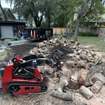 Jungle Tree and Debris - Tree Services Near Me Jungle Tree and Debris - Tree Services Near Me