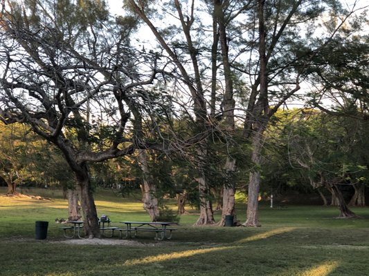 Merrie christmas park miami florida