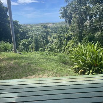 Rainforest Zipline Park - Line #7 - Tours Near Me - Rio Grande, Puerto Rico