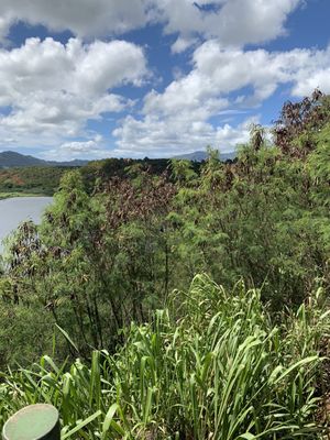 Menehune Fishpond by null