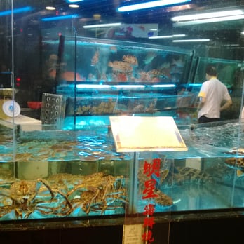 明星海鮮酒家 - Cantonese Near Me - Hong Kong, HK
