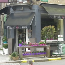 Pétale et Pistil